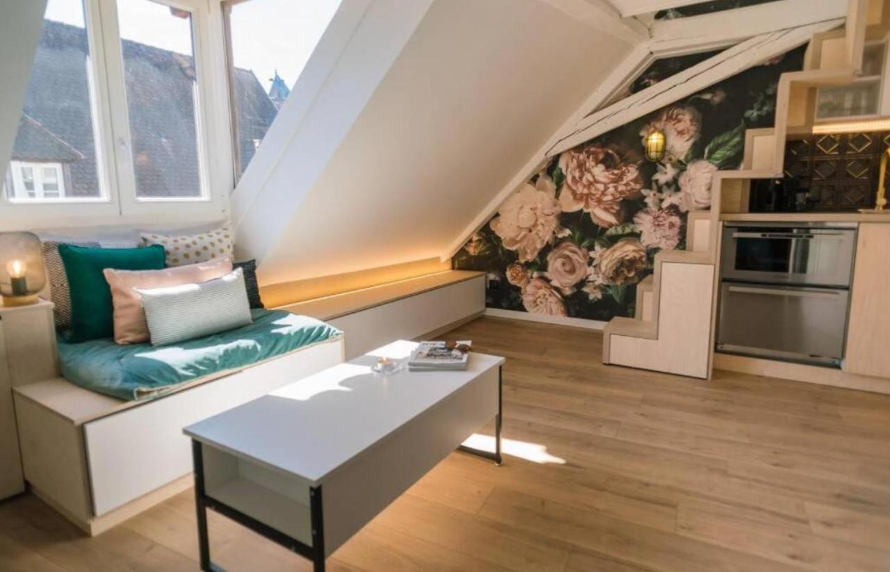 L'Evasion - Cozy - Rbnb Strasbourg Luaran gambar